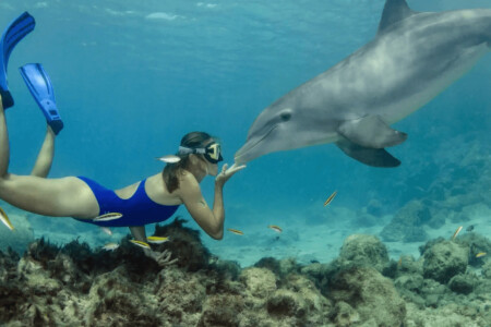 Excursión de snorkel a Paradise Island desde Hurghada