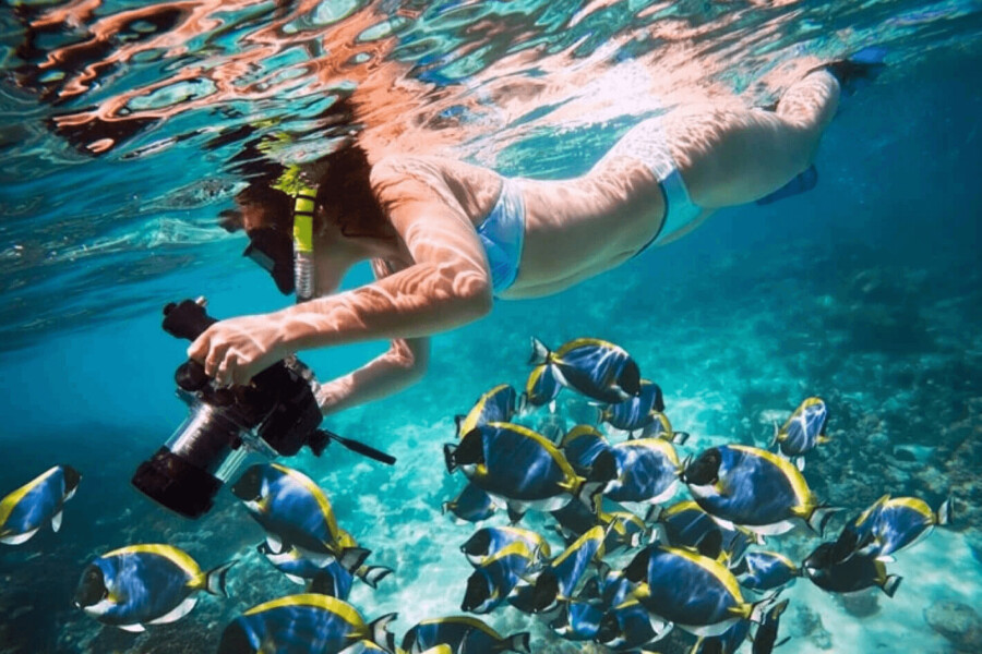 Excursión de snorkel a las islas Hamata desde Marsa Alam